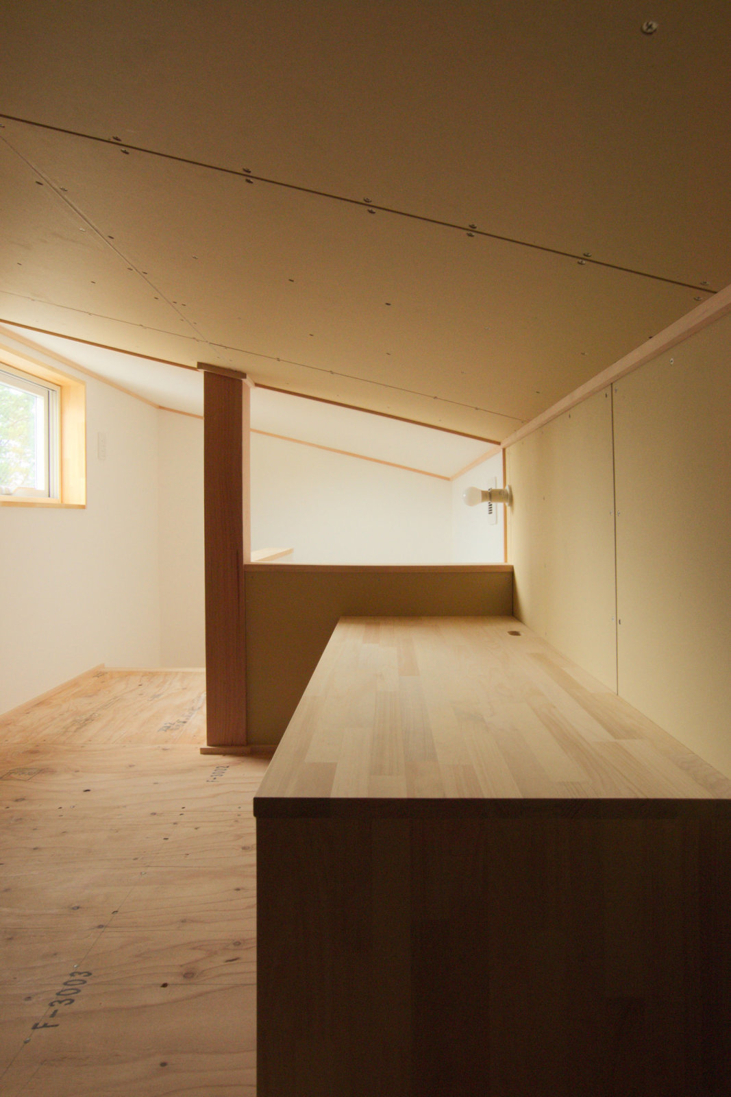 竣工写真 関屋下川原の家_b0349892_09300767.jpg