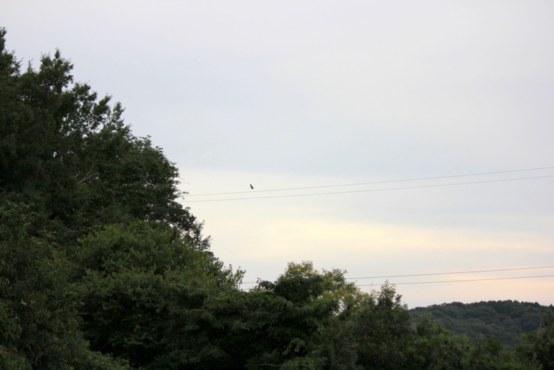 f0325295_14311060.jpg