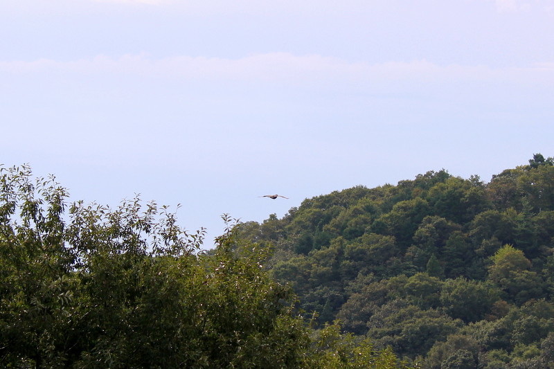 f0325295_15280625.jpg