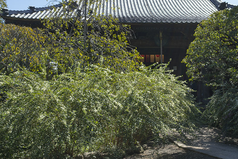 b0145398_23085994.jpg