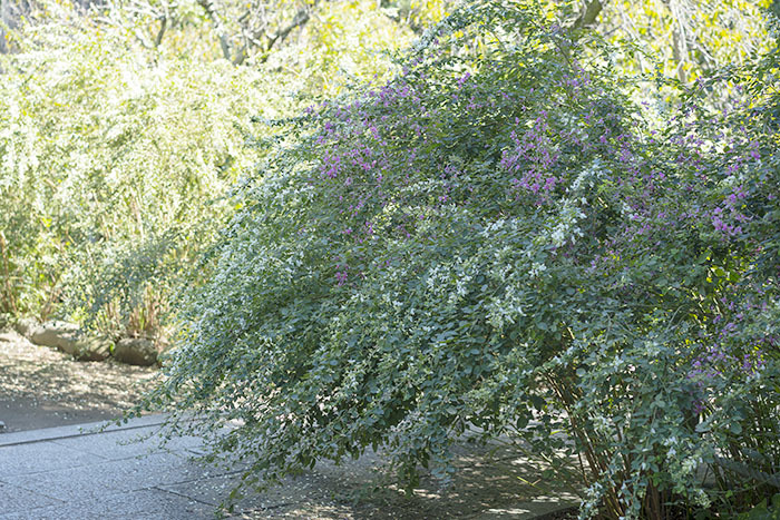 b0145398_23103733.jpg