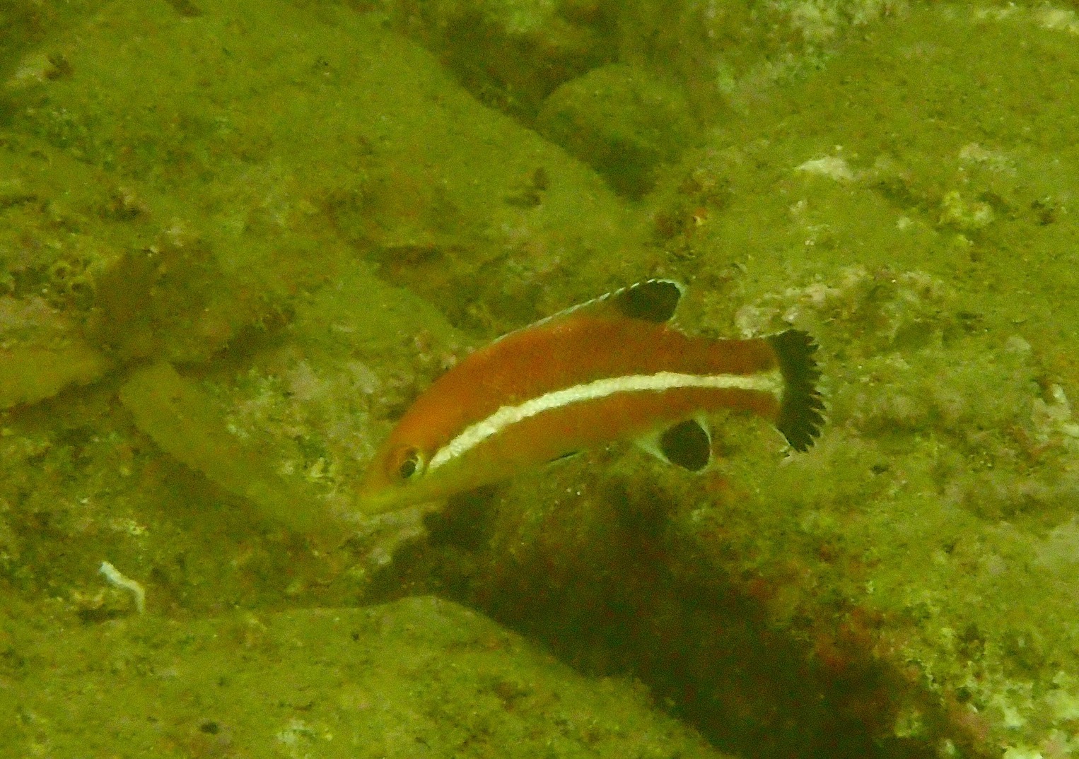 e0115199_17054838.jpg