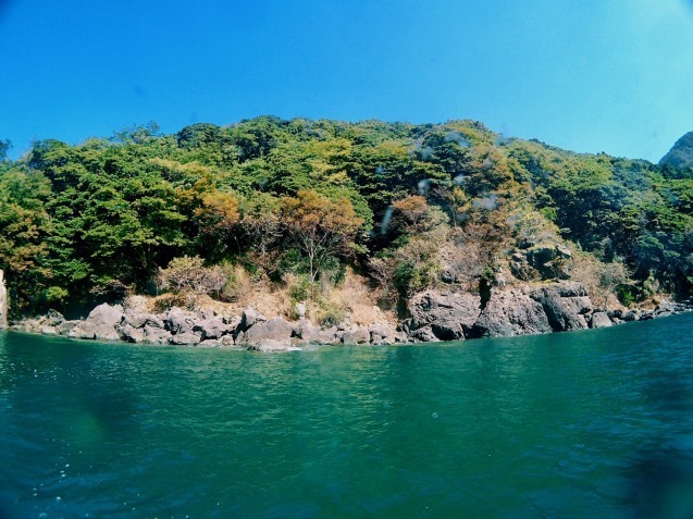 e0115199_17081509.jpg