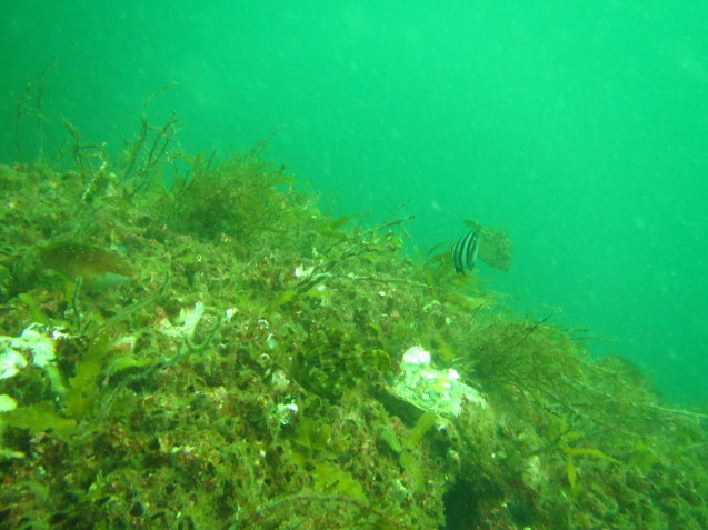 e0115199_17202325.jpg