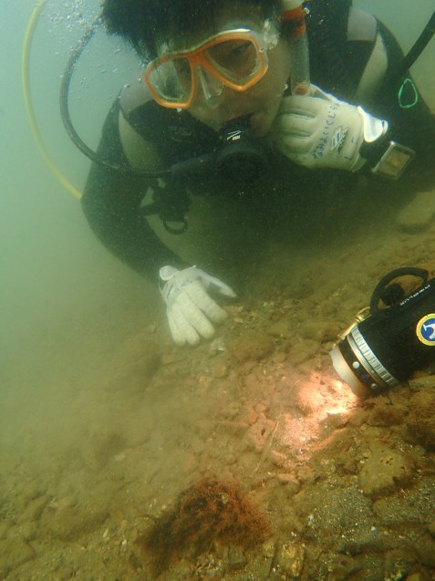e0115199_17264290.jpg