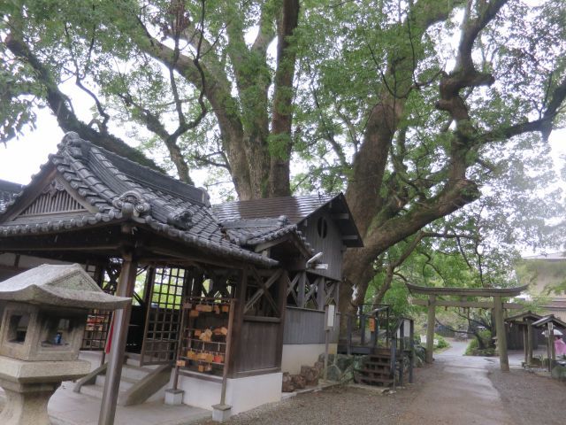d0360104_18135740.jpg