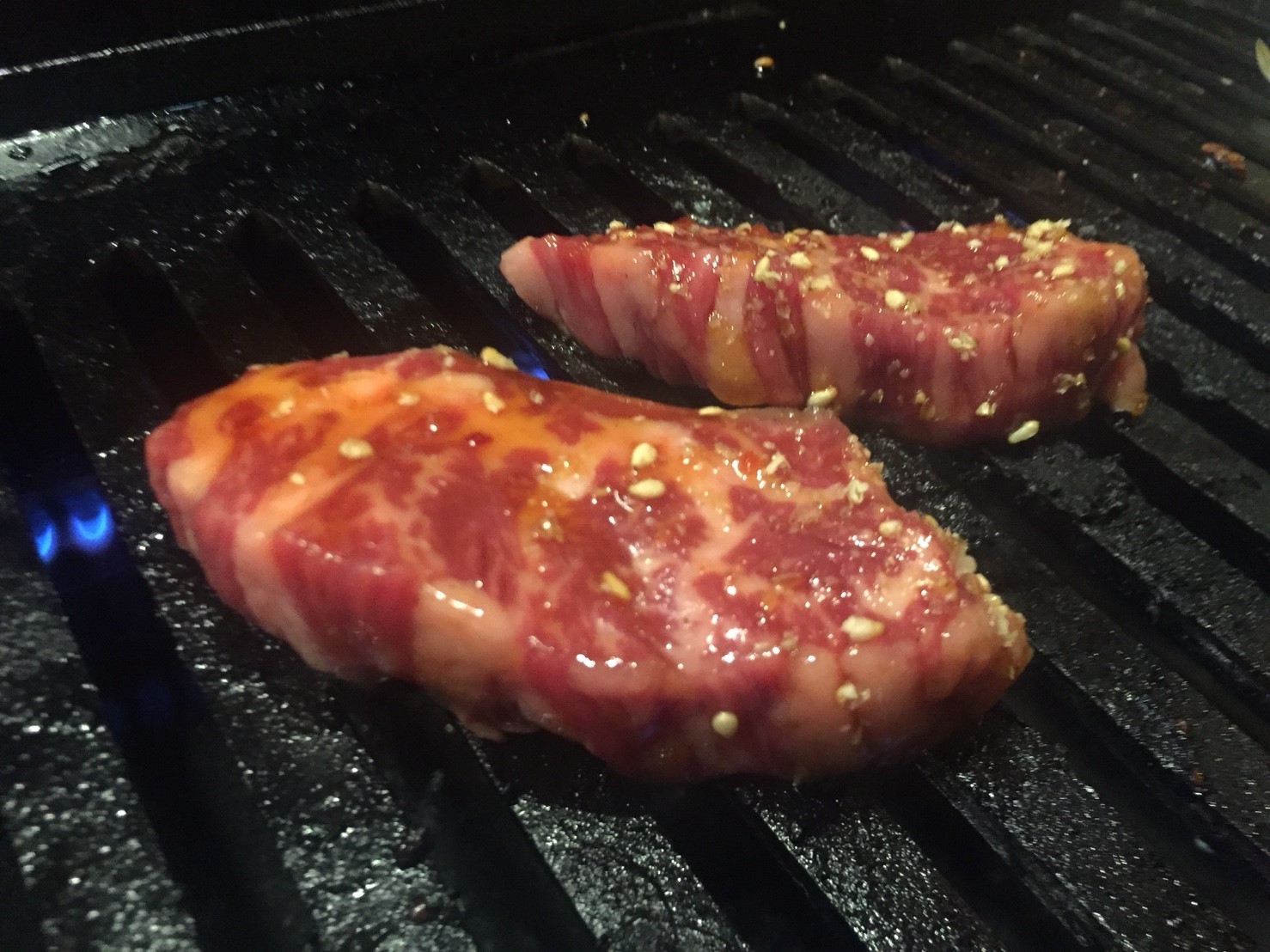 焼肉ホルモン焼き ふじのや_e0115904_13003498.jpg