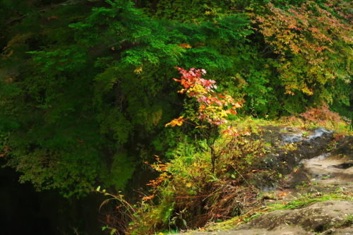 a0263109_20073050.jpg