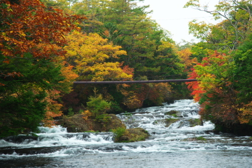 a0263109_20073075.jpg