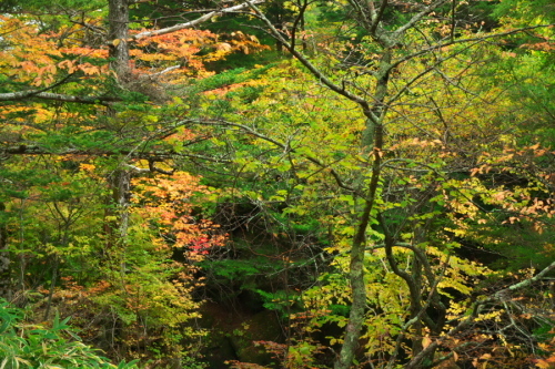 a0263109_20073169.jpg