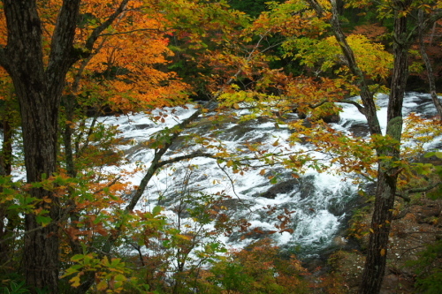 a0263109_20073214.jpg