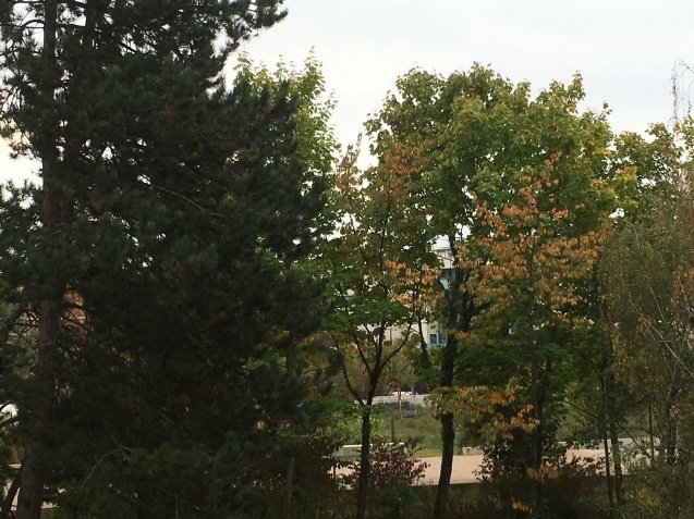 d0034609_01001296.jpeg