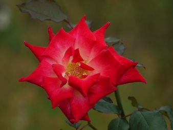 f0236012_14372380.jpg