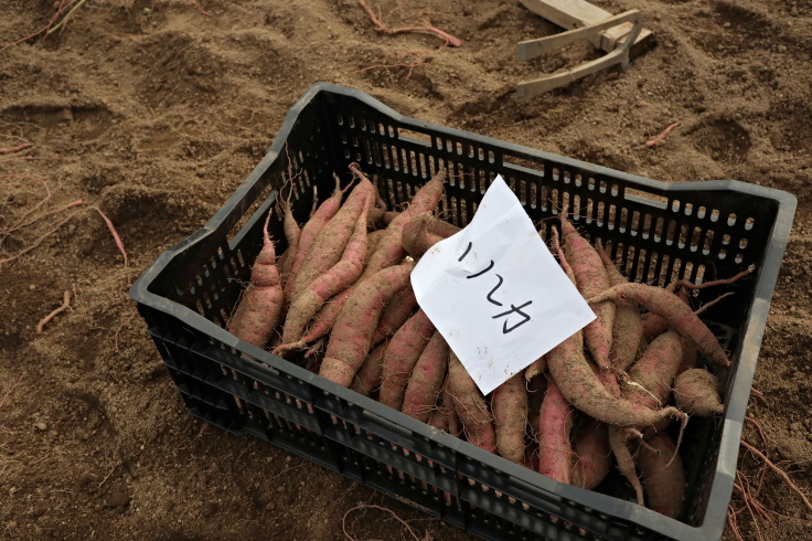 f0067514_07225811.jpg