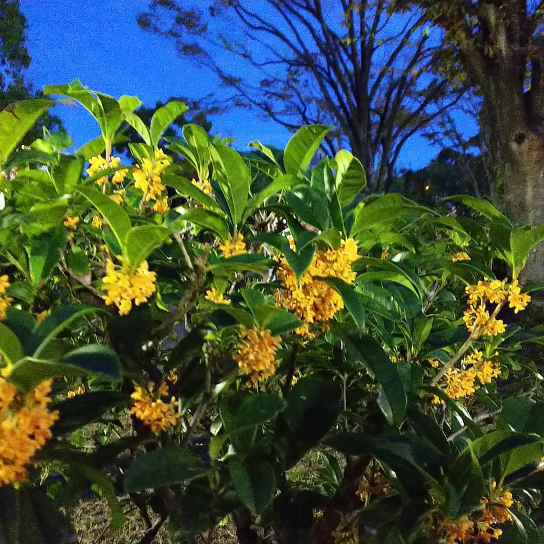 a0098418_19374232.jpg