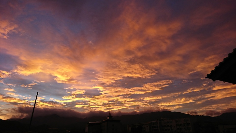 f0228619_9525615.jpg