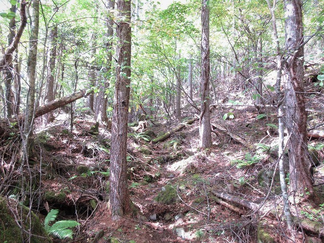 北八ヶ岳　稲子湯から登る大展望のニュウ　　　　　Mount Nyu in Northern Yatsugatake_f0308721_20033271.jpg