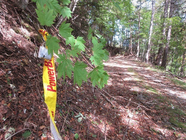 北八ヶ岳　稲子湯から登る大展望のニュウ　　　　　Mount Nyu in Northern Yatsugatake_f0308721_20033755.jpg