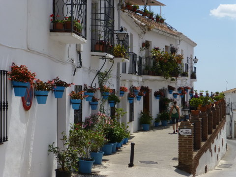 スペイン旅行記5日目【ミハス】_e0237625_18084709.jpg