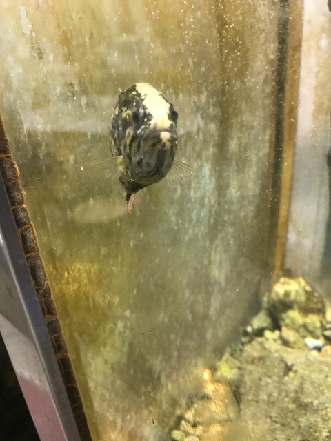 f0177529_20430024.jpeg