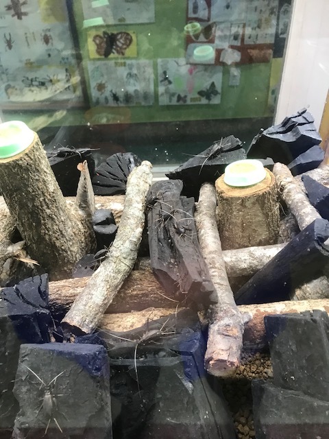 f0177529_20445230.jpeg
