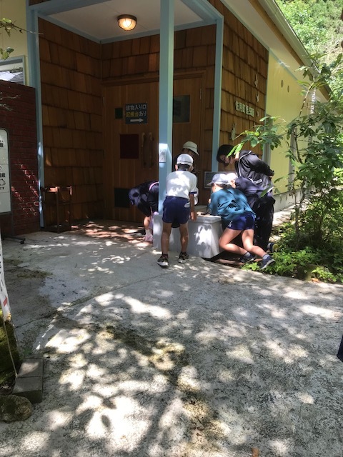 f0177529_22360668.jpeg