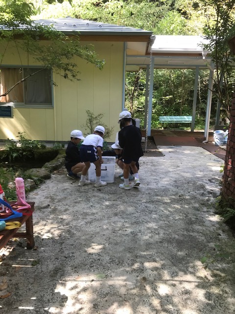 f0177529_22361760.jpeg