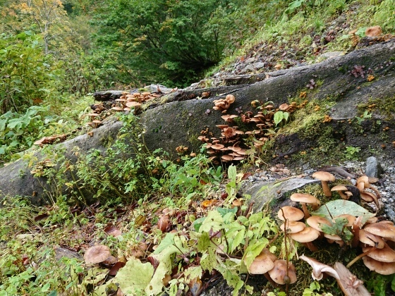 f0118332_00554872.jpg