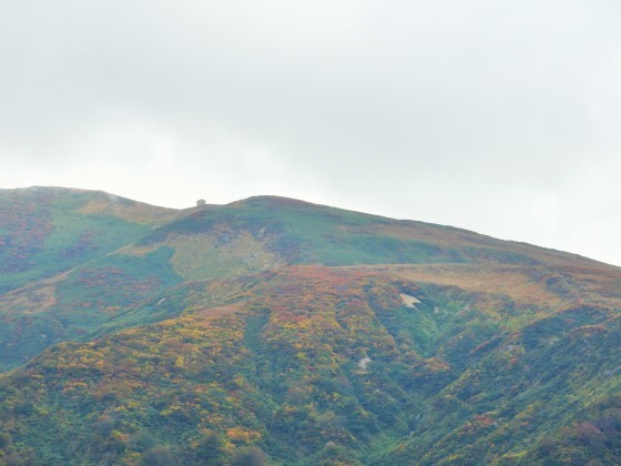 f0118332_00574932.jpg
