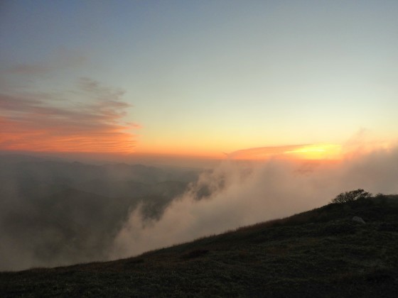 f0118332_01011105.jpg