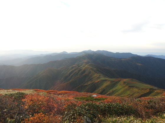 f0118332_01021954.jpg
