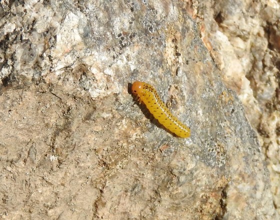 f0118332_01062475.jpg