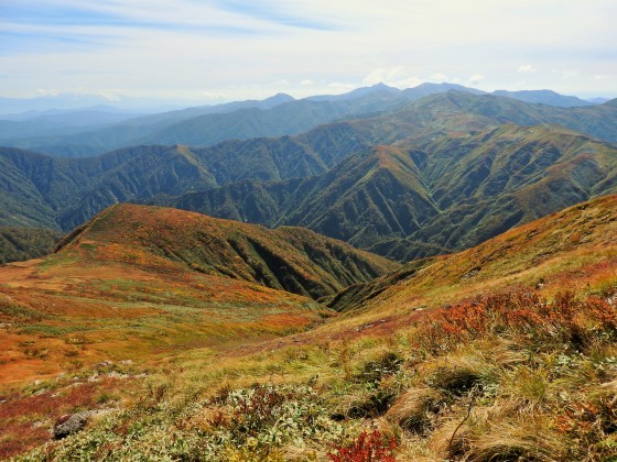 f0118332_01064477.jpg
