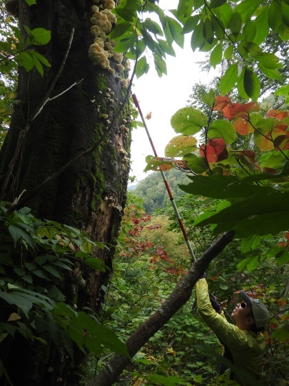 f0118332_01103376.jpg