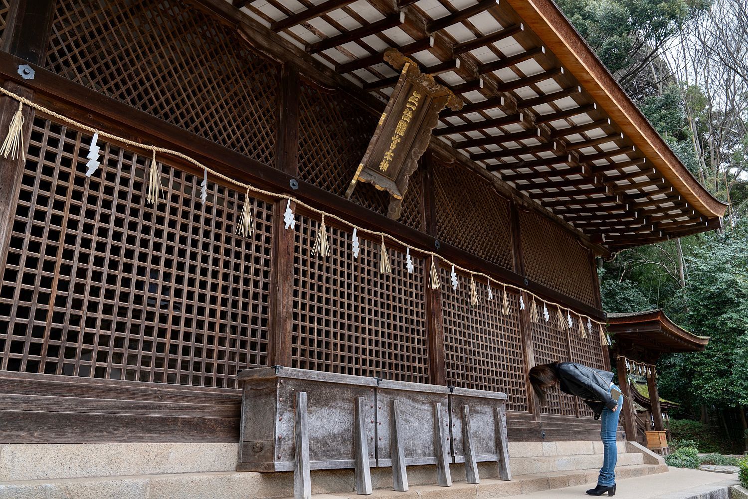【国宝・世界遺産|宇治上神社】 行き方、拝観のしかた (京都府)_b0212342_22472682.jpg
