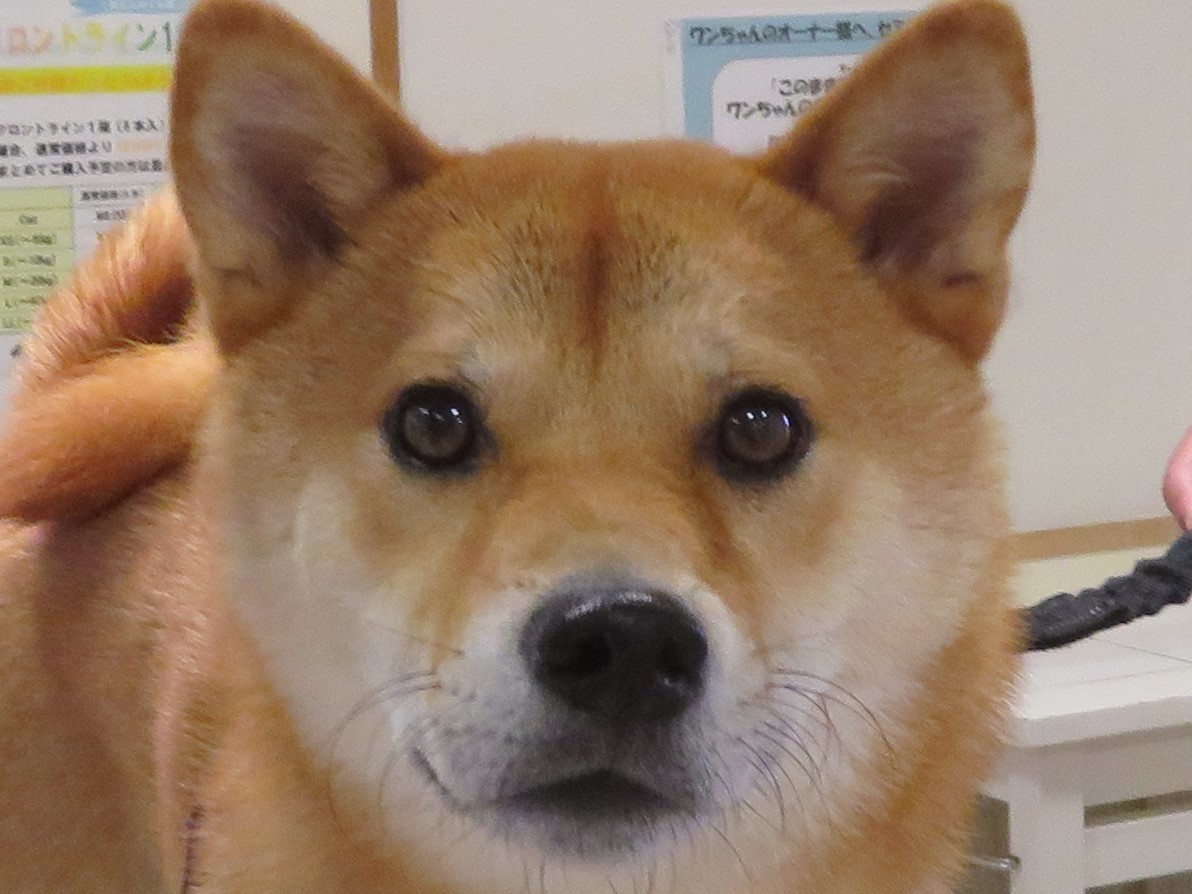 c0174644_12420510.jpg