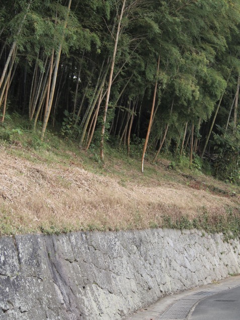 d0145345_20082181.jpg