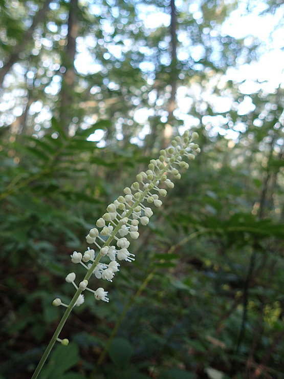 f0214649_04192955.jpg