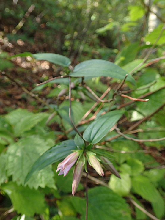 f0214649_04383528.jpg