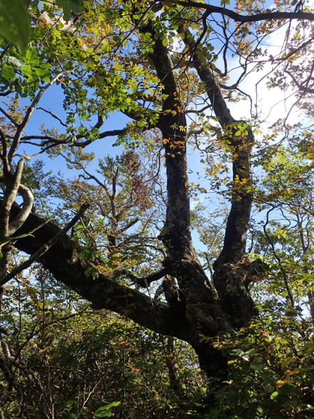 f0214649_04563731.jpg