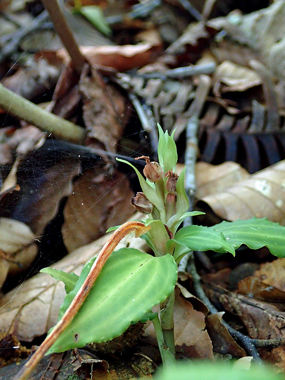 f0214649_04572679.jpg