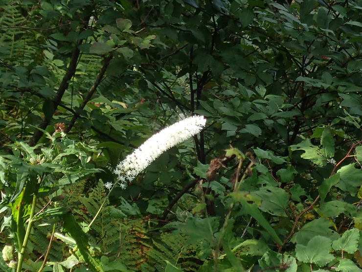 f0214649_05042010.jpg