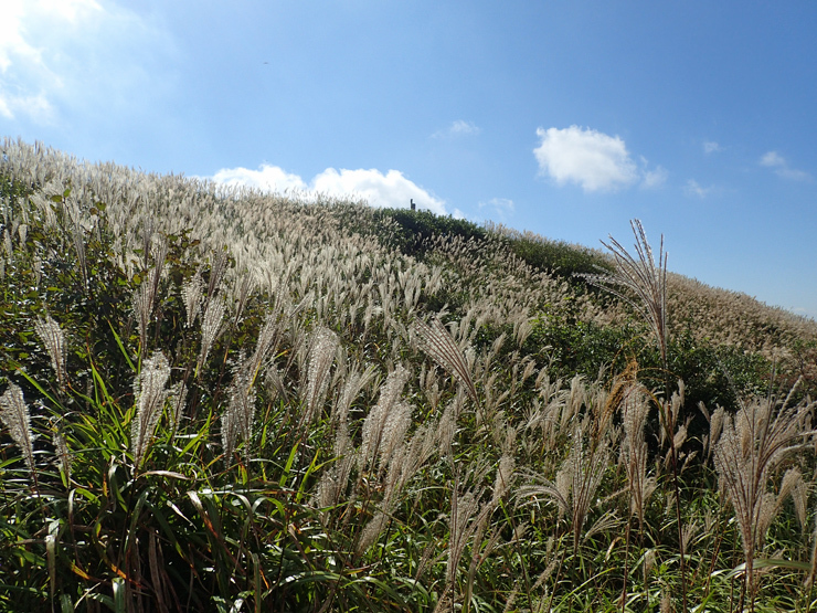 f0214649_05052563.jpg
