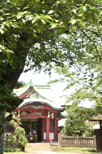 b0400153_14494082.jpg