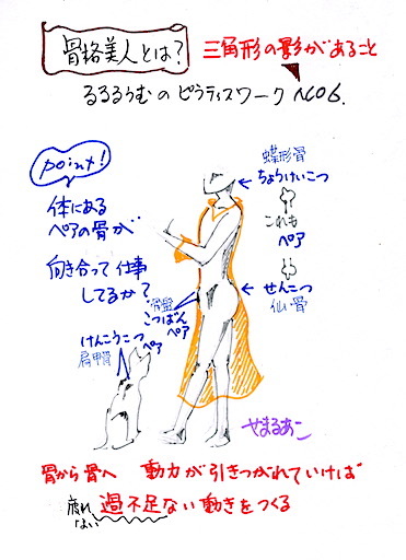 骨格美人とは るるるのふね 骨格美人とは るるるのふね