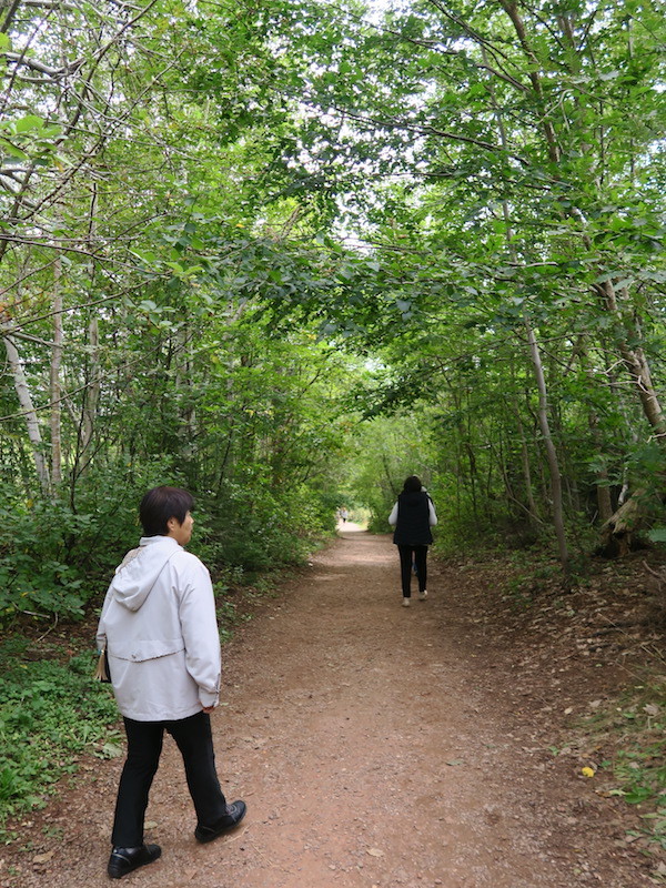 b0090654_08052456.jpg