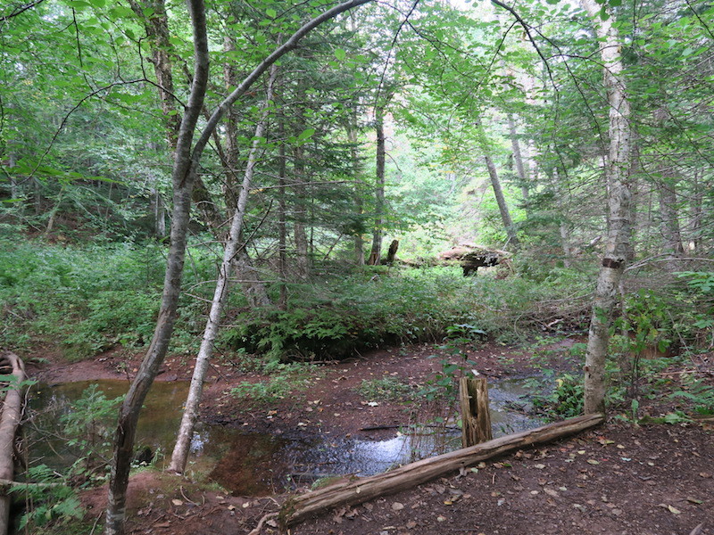 b0090654_08053919.jpg