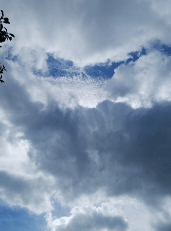 e0001558_10485439.gif