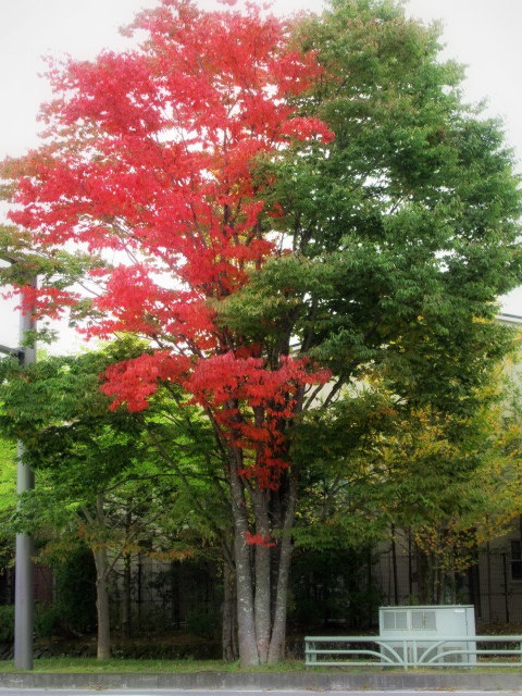 f0236260_22594144.jpg
