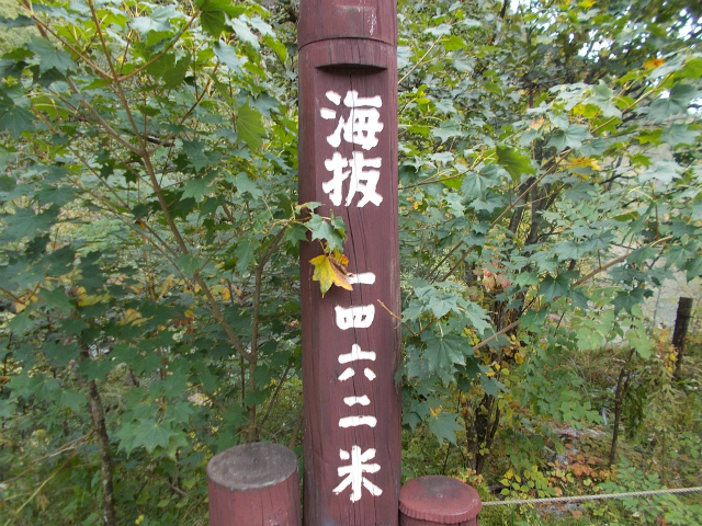 c0219866_09384099.jpg